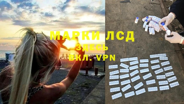 ПСИЛОЦИБИНОВЫЕ ГРИБЫ Вязьма