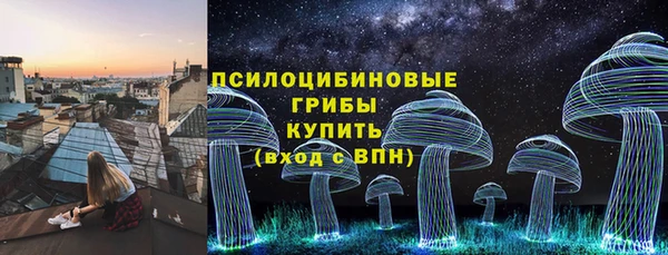 метадон Вяземский