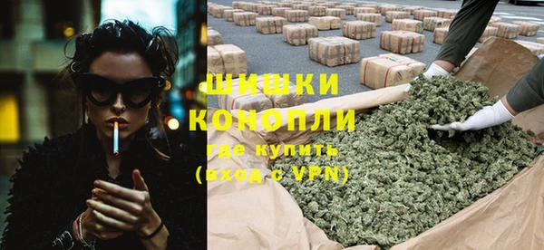 ПСИЛОЦИБИНОВЫЕ ГРИБЫ Вязьма