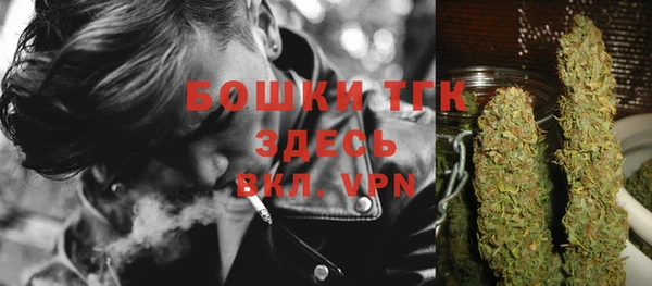 метадон Вяземский