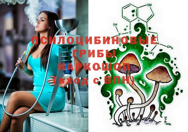 метадон Вяземский