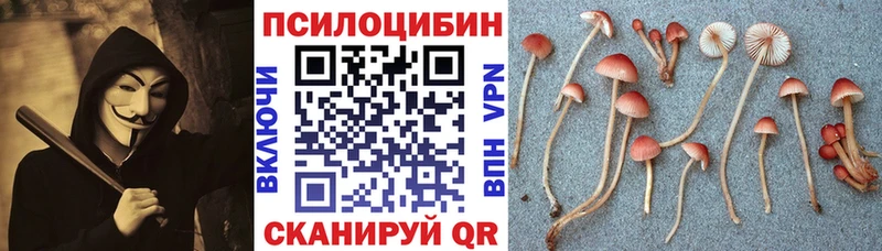 Купить закладки  Микунь  Псилоцибиновые грибы Magic Shrooms 